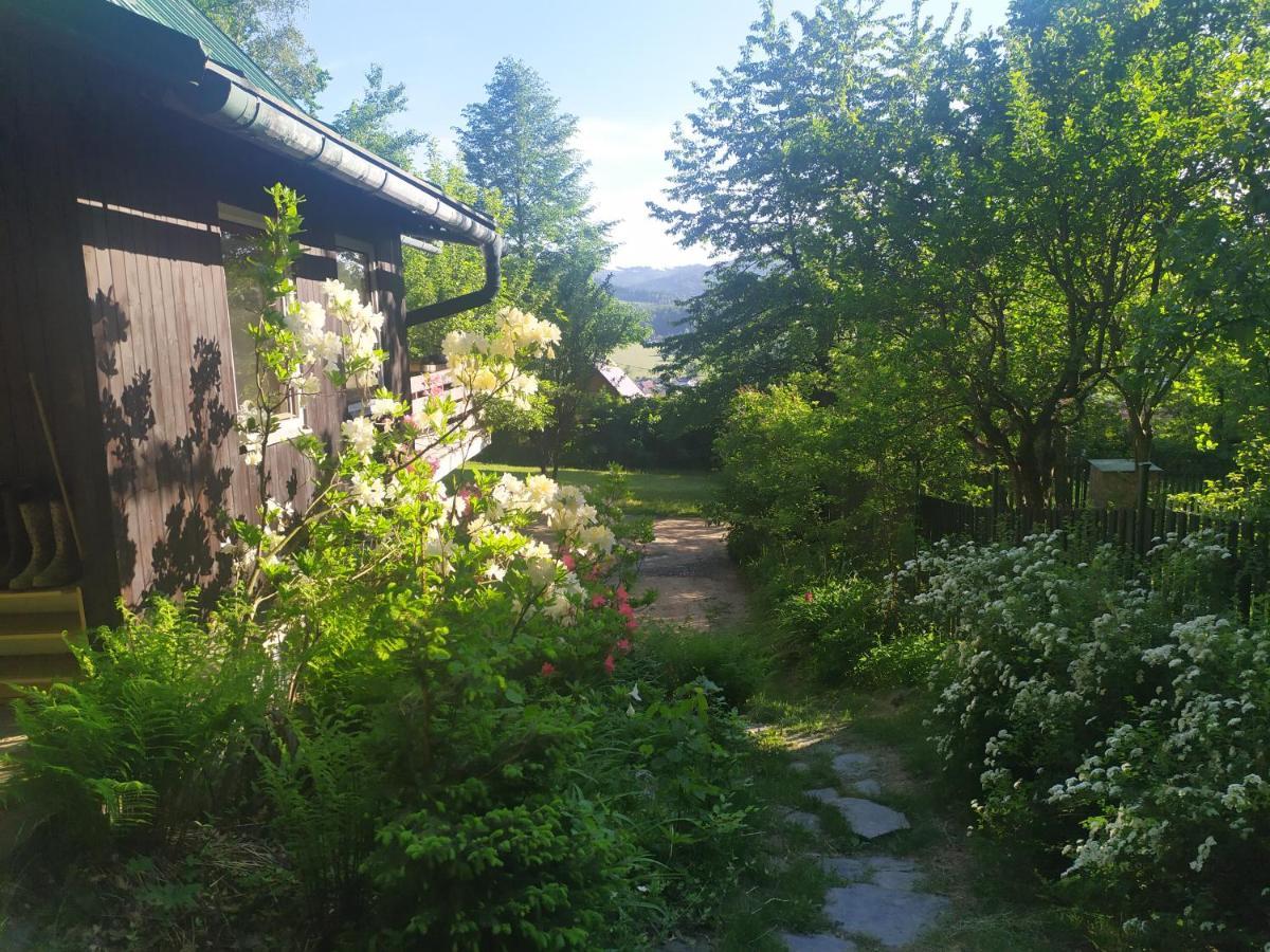 Chata Na Poskle U Lesa S Vyhledem Hutisko Exteriör bild