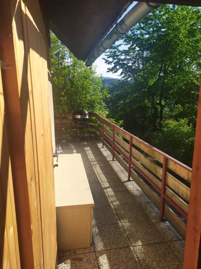 Chata Na Poskle U Lesa S Vyhledem Hutisko Exteriör bild