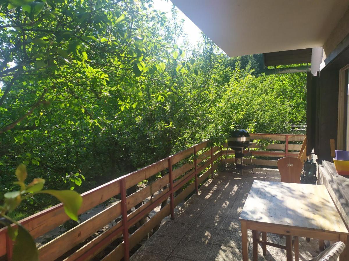 Chata Na Poskle U Lesa S Vyhledem Hutisko Exteriör bild